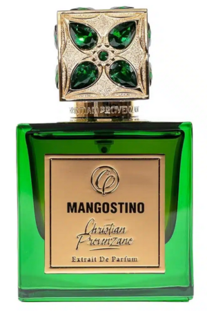 كريستيان بروفينزانو مانغوستينو أو دو بارفيوم 100 مل CHRISTIAN PROVENZANO MANGOSTINO EDP 100ML