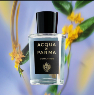 ACQUA DE PARMA Osmanthus 180ml Tester أكوا دي بارما أوسمانثوس 180ml تيستر
