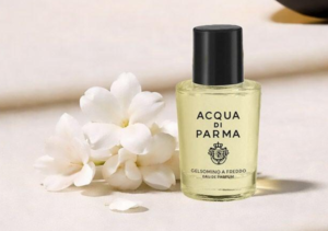 ACQUA DI PARMA TESTER Gelsomino A Freddo 100ML أكوا دي بارما جيلسومينو أ فريدو تيستر 100 مل
