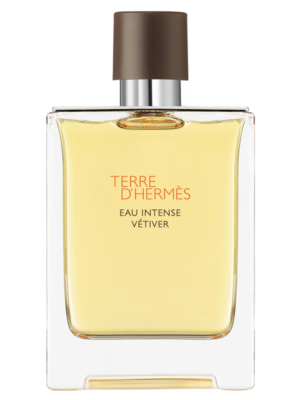 تيستر هيرميس تير دي هيرميس أو إنتنس فيتيفير أو دو بارفيوم 100 مل TESTER HERMÈS TERRE D'HERMÈS EAU INTENSE VÉTIVER EDP 100ML