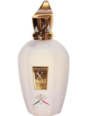 تيستر زيرجوف 1861 رينيسانس أو دو بارفان 100 مل TESTER XERJOFF UNISEX 1861 RENAISSANCE EDP 100ML