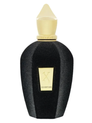 تيستر زيرجوف في اوفيرتشر اي دي بي 100 مل TESTER XERJOFF UNISEX V OUVERTURE EDP 100ML