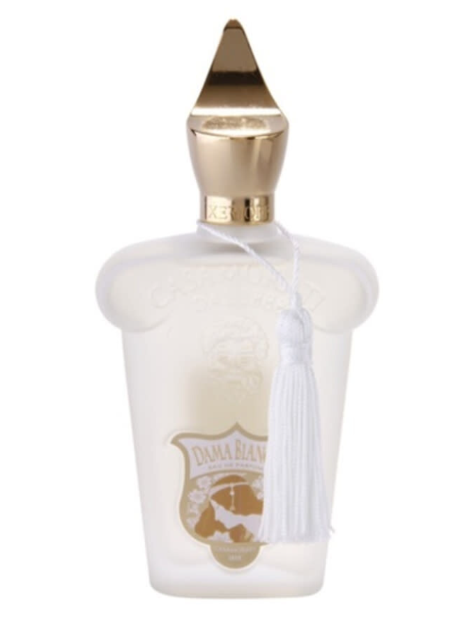 تيستر زيرجوف كازاموراتي داما بيانكا أو دو بارفان 100 مل TESTER XERJOFF LADIES CASAMORATI DAMA BIANCA EDP 100ML