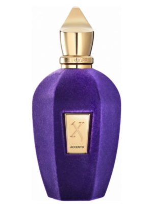 تيستر سيرجوف أكسينتو يوني سيكس أو دو بارفان 100 مل TESTER XERJOFF ACCENTO UNISEX EDP 100ML