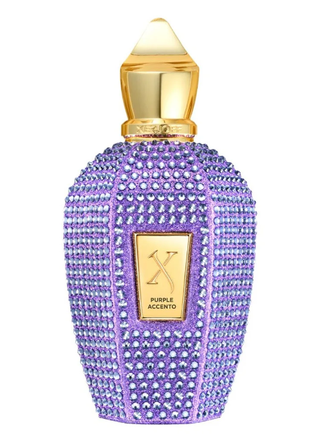 زيرجوف في بيربل اكشينتو اي دي بي 100 مل XERJOFF V PURPLE ACCENTO EDP 100ML
