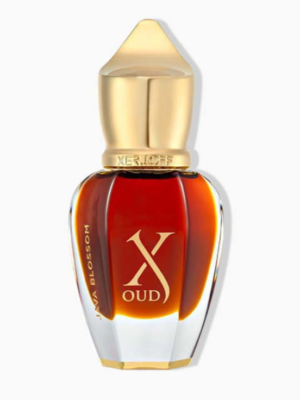 زيرجوف جافا بلوسوم بيرفيوم اكستريت 15 مل XERJOFF JAVA BLOSSOM PERFUME EXTRACT 15ML