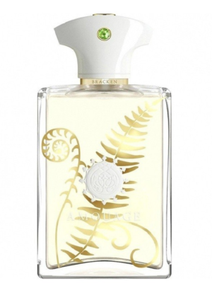 تيستر أمواج براكين فور مان أو دو بارفيوم 100 مل ديسكونتنيود TESTER AMOUAGE BRACKEN FOR MAN EDP 100ML DISCOUNTIONED