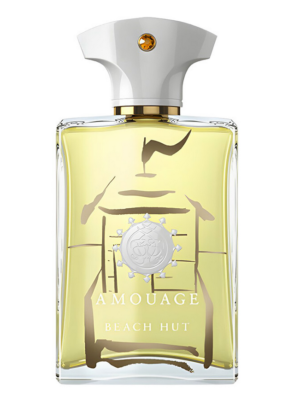 أمواج بيتش هت فور مان أو دو بارفيوم 100 مل أولد باتش AMOUAGE BEACH HUT FOR MAN EDP 100ML OLD BATCH