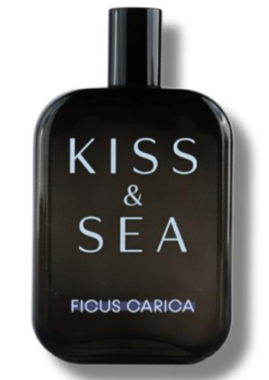 سامام كيس أند سي فيكوس كاريكا أو دو بارفيوم 100 مل SAMAM KISS & SEA FICUS CARICA EDP 100ML