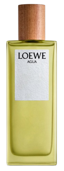 تيستر لويفي أغوا 100 مل TESTER LOEWE AGUA 100ML