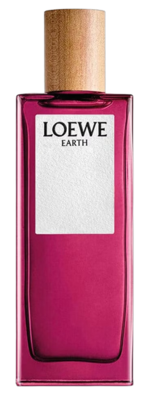 تيستر لويفي إيرث 100 مل TESTER LOEWE EARTH 100ML