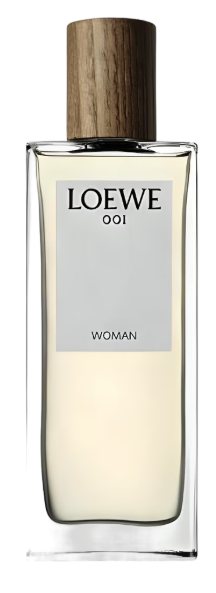تيستر لويفي أوي 100 مل TESTER LOEWE OOI 100ML