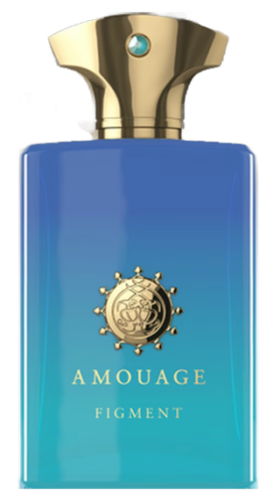 تيستر أمواج فيغمنت فور مان أو دو بارفيوم 100 مل ديسكونتنيود TESTER AMOUAGE FIGMENT FOR MAN EDP 100ML DISCOUNTIONED