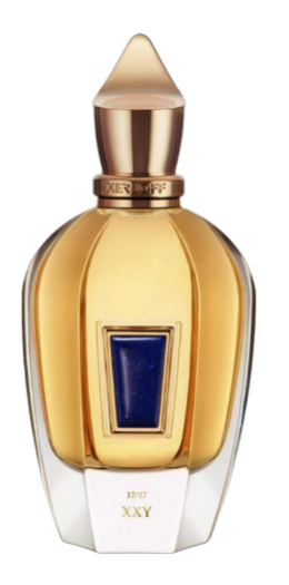 تيستر سيرجوف 17/17 إكس إكس واي بيرفيوم 100 مل TESTER XERJOFF 17/17 XXY PARFUM 100ML