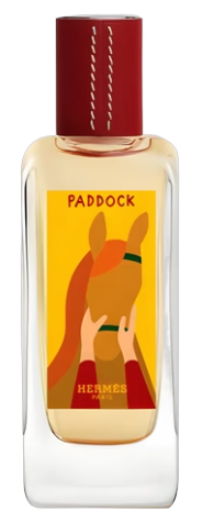 Paddock 26 Eau de Parfum Natural spray 100ml بادوك ٢٦ ماء عطر بخاخ طبيعي ١٠٠ مل