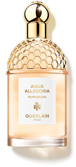 Aqua pampleune أكوا أليغوريا بامبلون