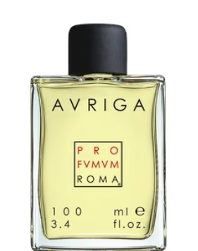Profumum Roma Avrigo 100 ml بروفوموم روما أفريغو